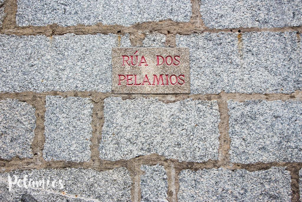 Pelamios House Apartment Сантяго де Компостела Екстериор снимка